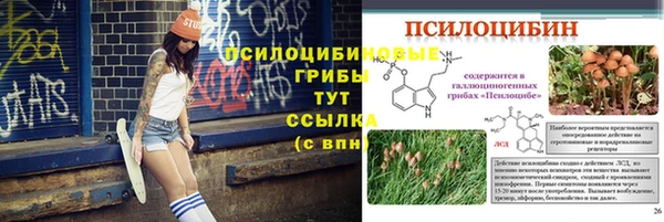 MESCALINE Аркадак