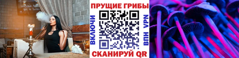 кракен tor  Оха  Псилоцибиновые грибы прущие грибы 